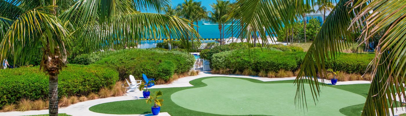 Putting green surrounded by lush grass and palm trees.